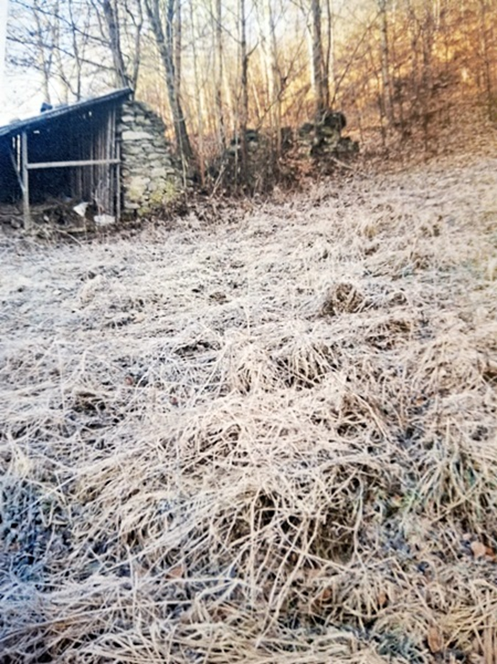 Pozostałość kamiennego muru budynku młyna za murowanym domem nr 233 (autor E. Kawałkowa)