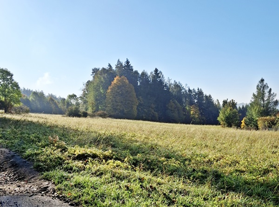 7. Szyby peryferyjne 